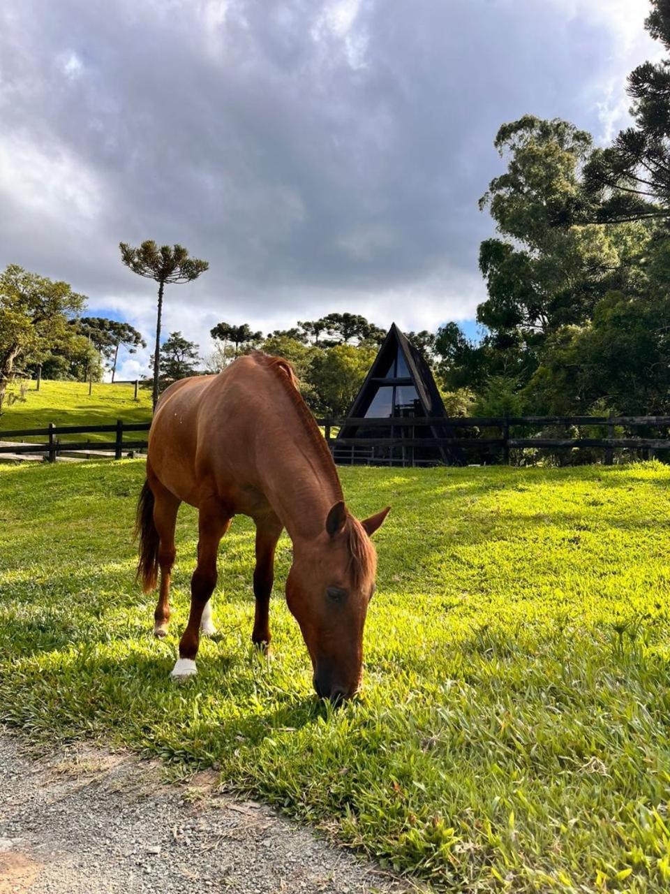 Cold Land Chale Villa Urubici Exterior photo